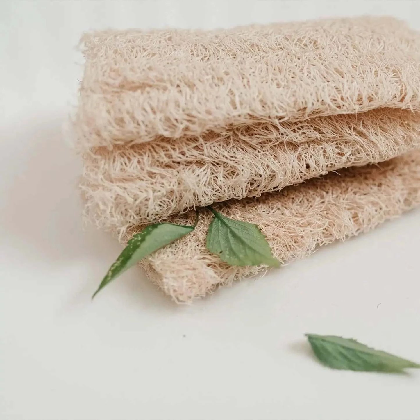 100% plant fiber loofah sponge