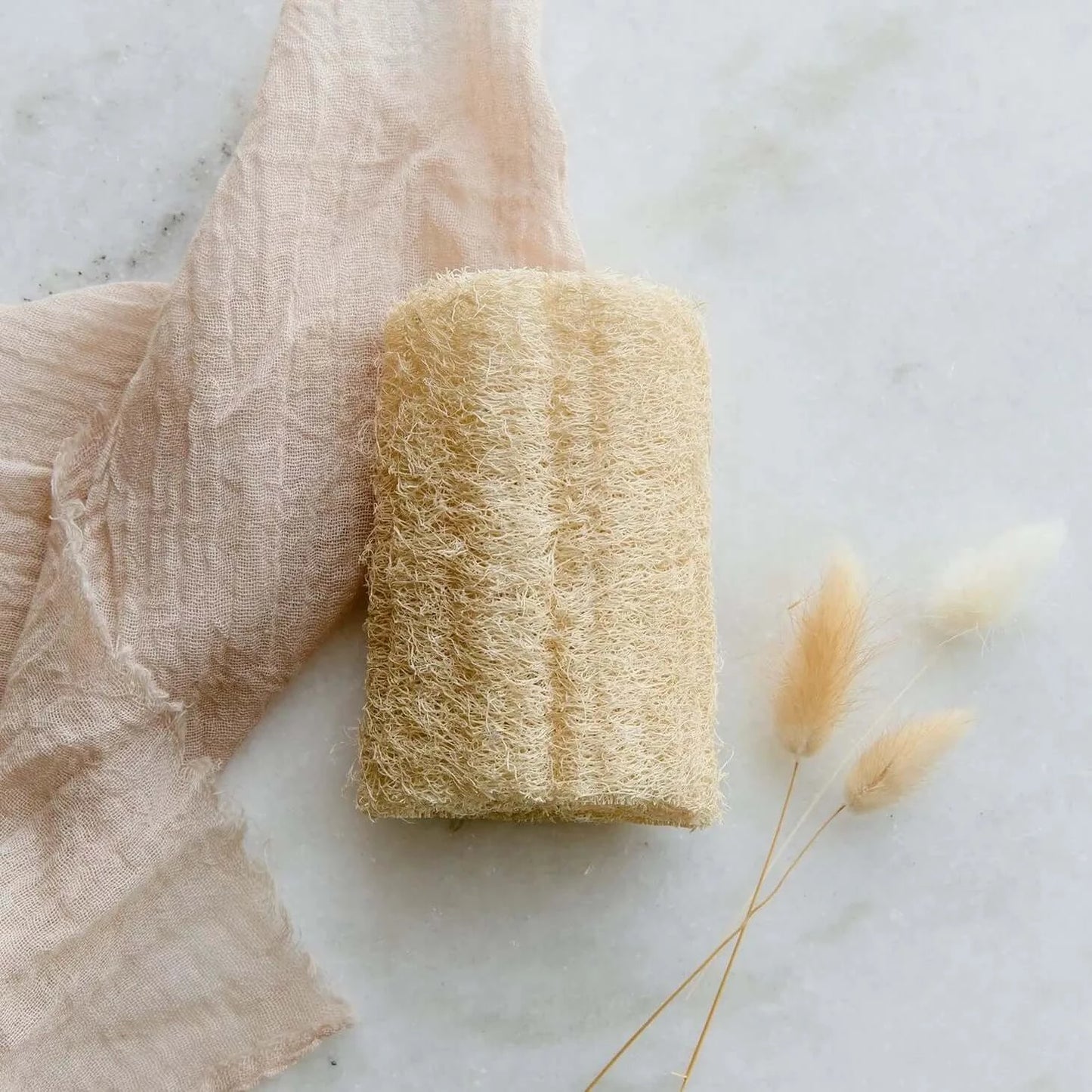 zero waste loofah sponge